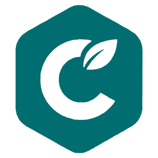 碳基时代logo